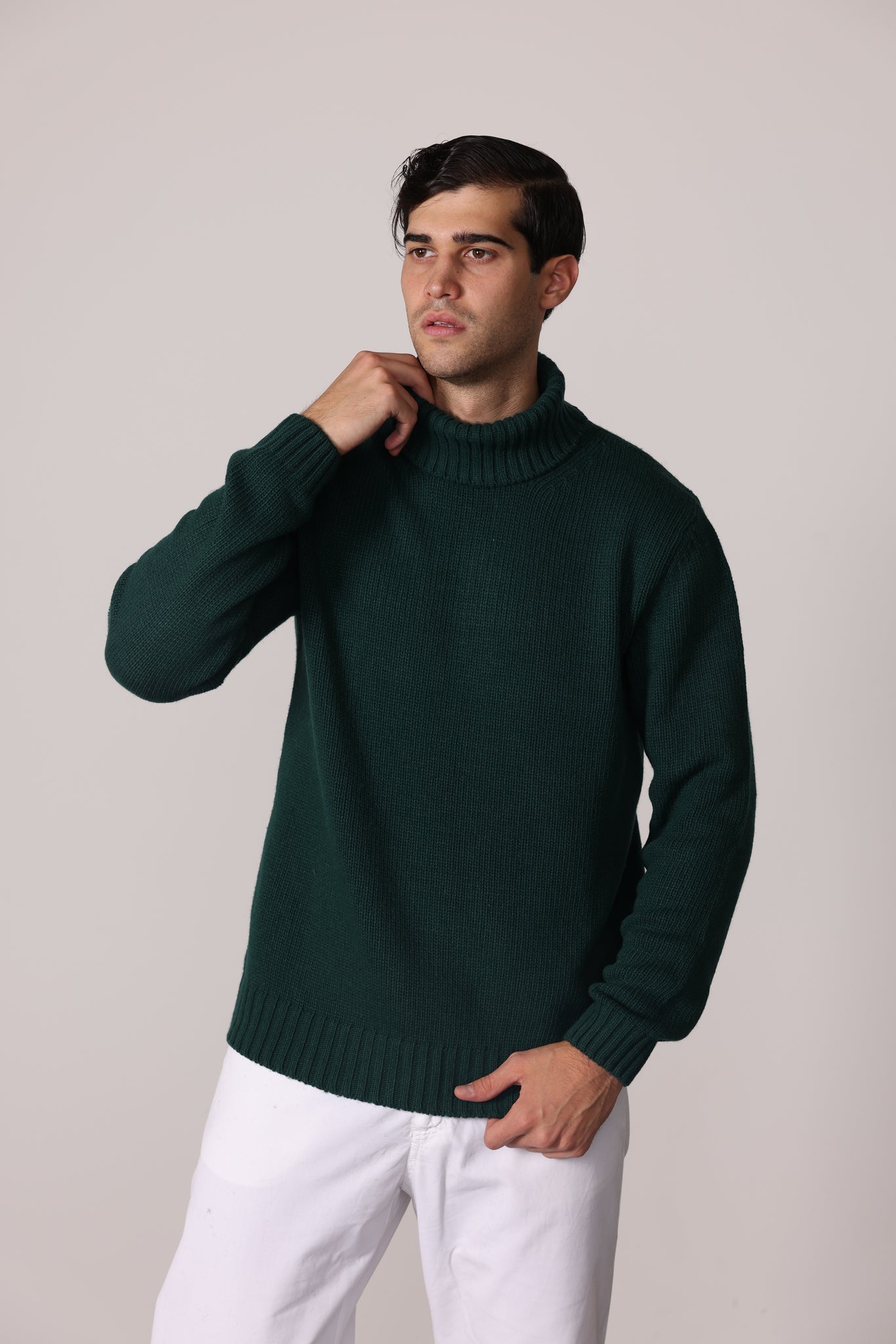 4213 - Turtle Neck D Line