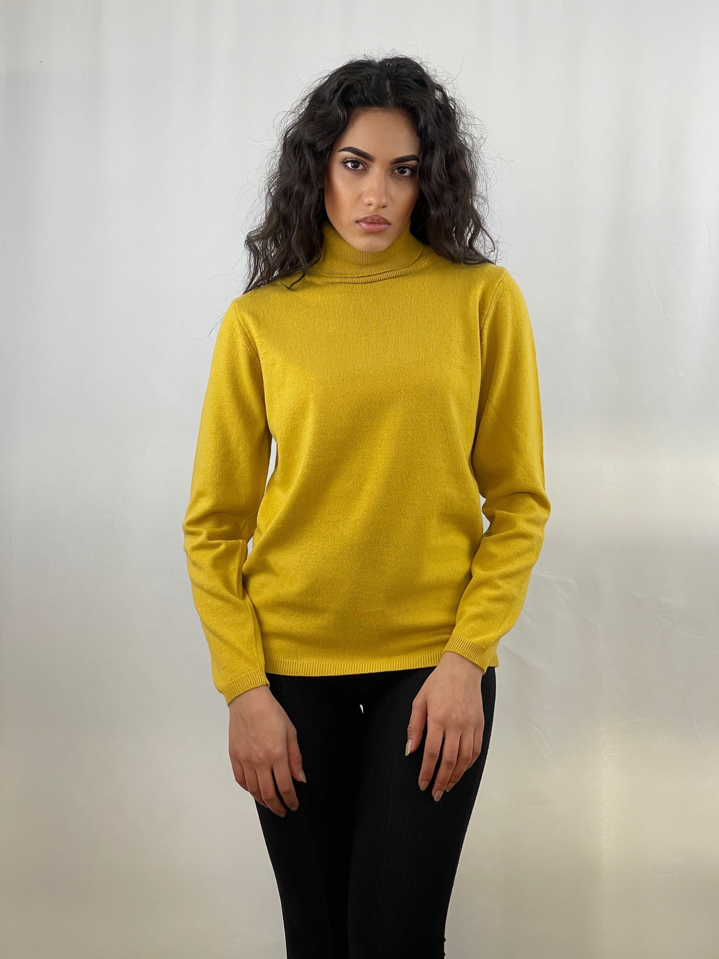 4103 - Classic turtleneck women